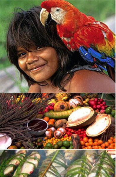 Brasil - Duruz Travels